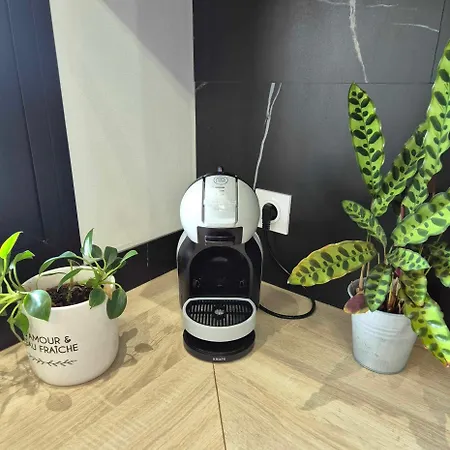 Maisonnette Cosy Proche De La Rochelle Et De L'ile De Re Feriehus Saint-Xandre