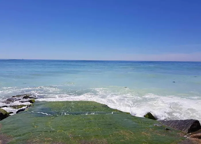 Maisonnette Cosy Proche De La Rochelle Et De L'ile De Re بيت للعطل *