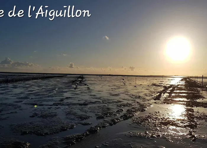 Maisonnette Cosy Proche De La Rochelle Et De L'ile De Re بيت للعطل Saint-Xandre