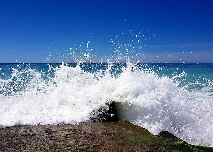 Maisonnette Cosy Proche De La Rochelle Et De L'ile De Re Saint-Xandre