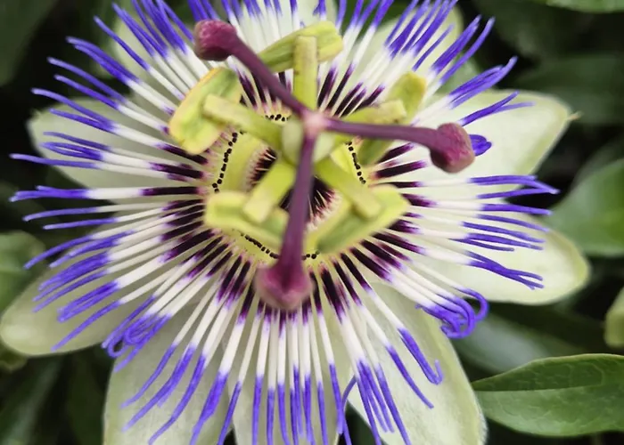 Maisonnette Cosy Proche De La Rochelle Et De L'ile De Re * Saint-Xandre